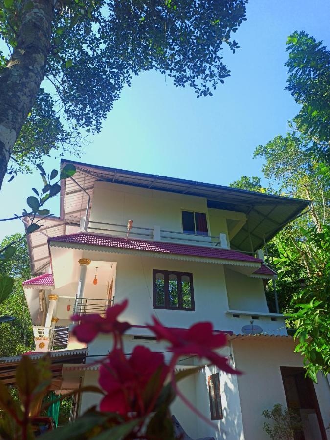 Mount Spring Valley Homestay Thekkady Eksteriør bilde